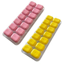 Forma de Silicone com Tampa